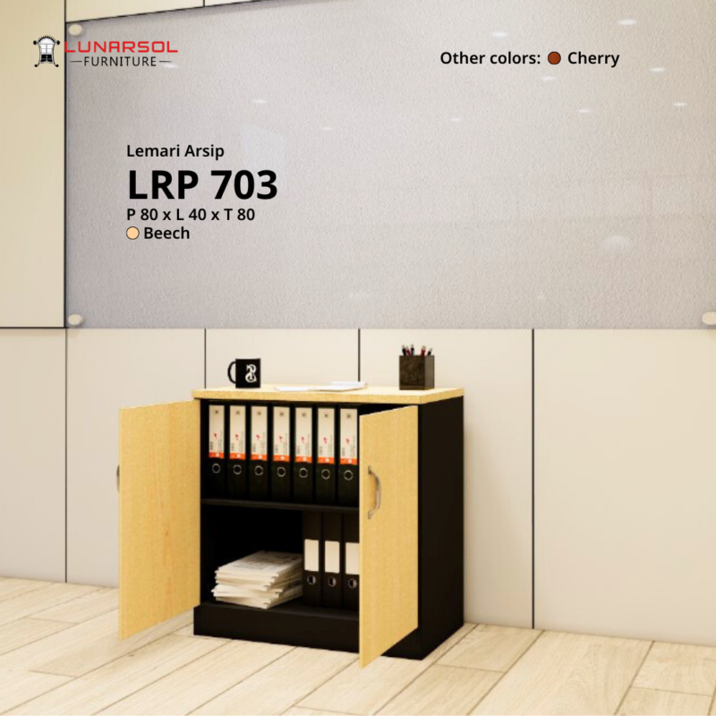 LRP 703 - Image 3