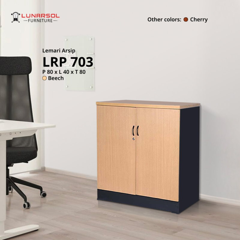 LRP 703 - Image 2